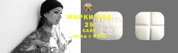 ALPHA-PVP Новозыбков