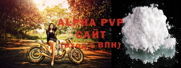 стаф Новодвинск