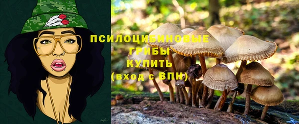 бошки Абаза